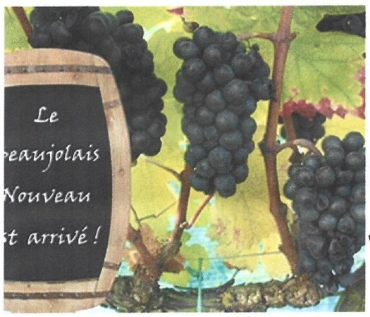 Beaujolais Nouveau